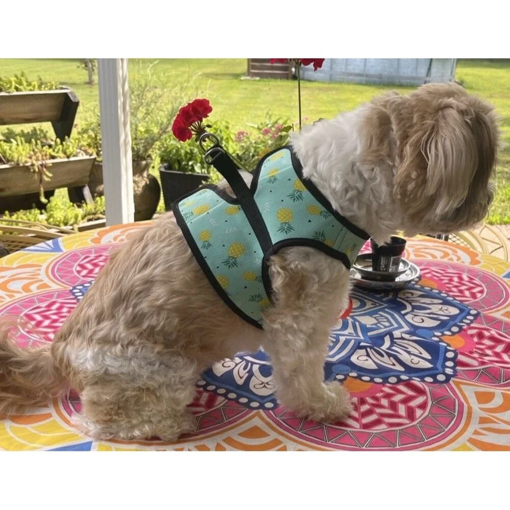 RC Pets XL Cooling Dog Vest Harness Pineapple Print Turquoise Mesh Dual D-Ring
